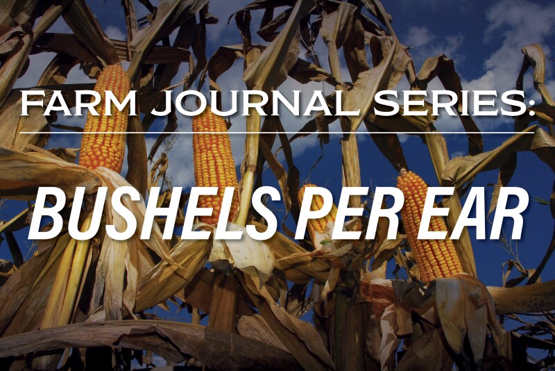 What really makes yield per acre? It’s not plant population—that’s merely one component.