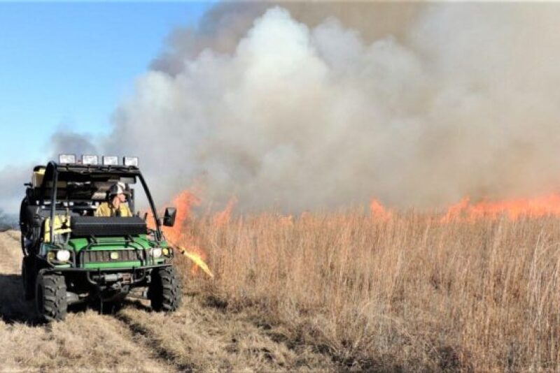 Prescribed burn