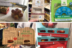 Clockwise from top left: Starr Ranch Growers, RPE, Hollandia Produce, Honeybear Brands and Titan Farms were a few of the companies showcasing sustainable packaging at SEPC's Southern Exposure.