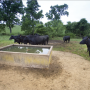 EQIP-Water-Trough