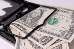 money-trap