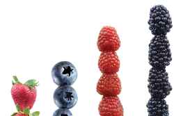 imported-berries-thumbnail.jpg