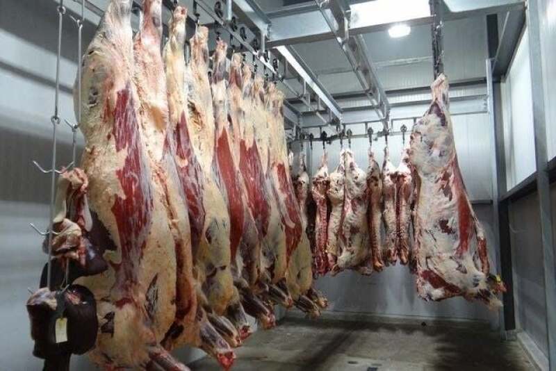 Carcasses.creative.commons.jpg