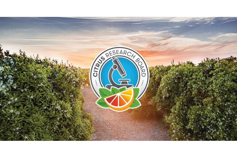 citrus research board