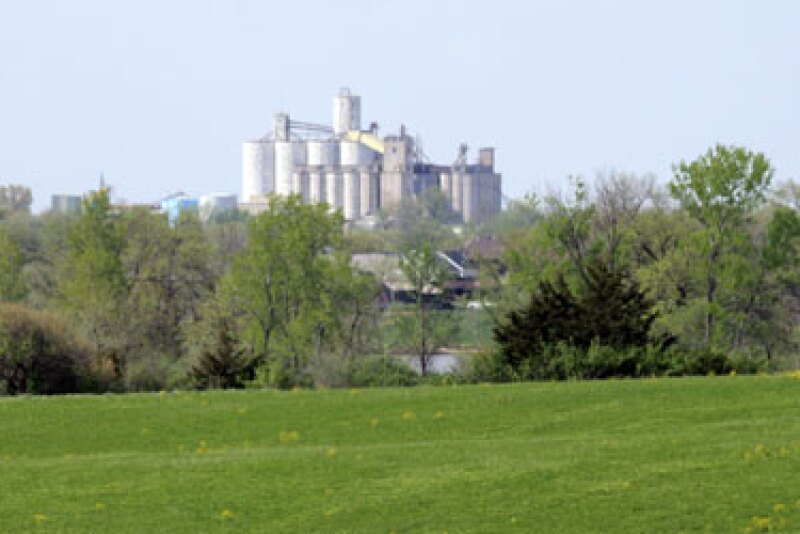 biodiesel plant