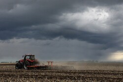 Rain or Drought