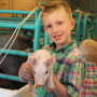 Kid holding pig