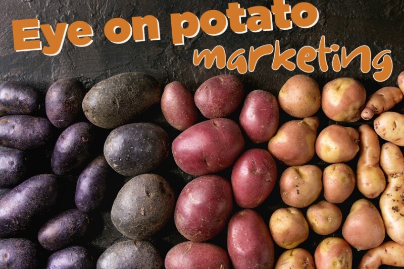 Potato marketing