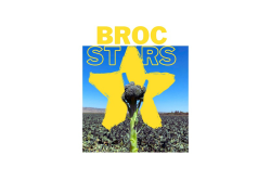 broc star