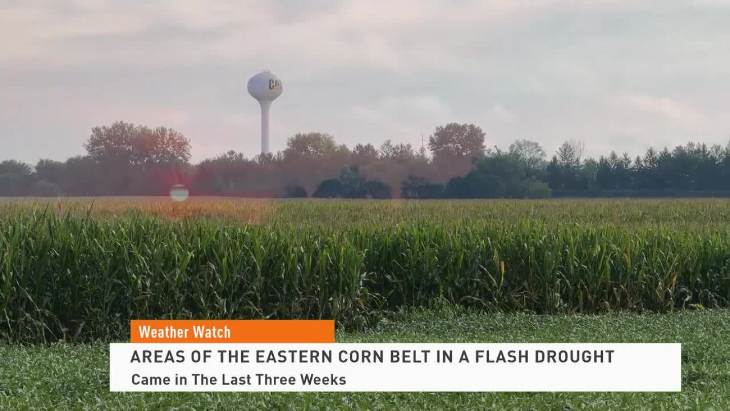 Cornflash How Much Could the Flash Drought Cut Corn and Soybean Yields Due to a ...