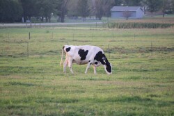 Early identification followed by appropriate intervention is key to successfully treating any disease.