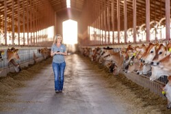 When considering your options to lower your feed bill, there are some do’s and don’ts.