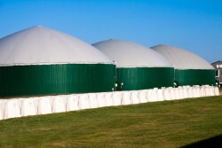 Scenic-View-Dairy-24