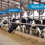 MILK-Core-Values-840.jpg