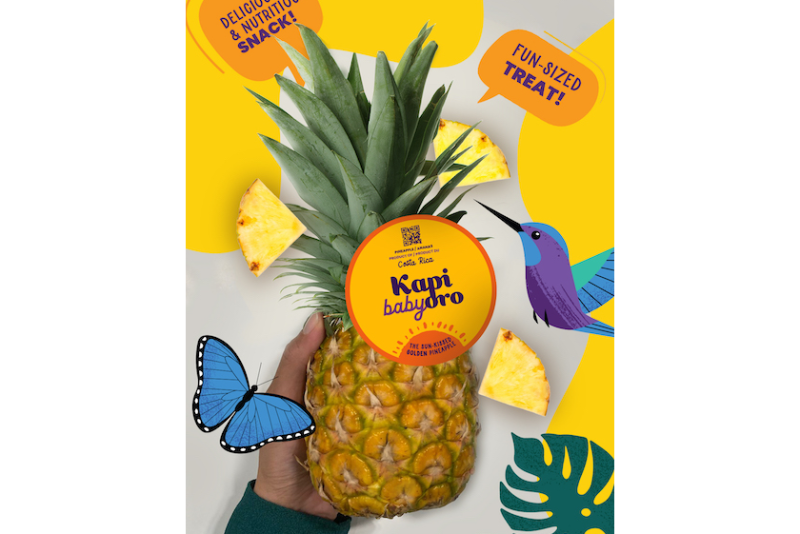 Kapi Baby Oro Pineapples