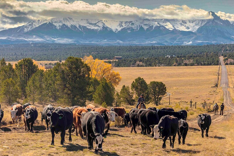 Centennial Ranch, Colo.