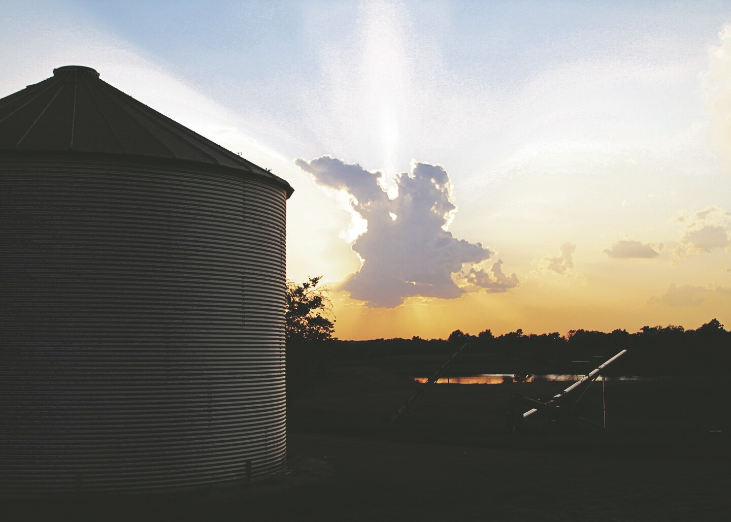 Grain Bin By Lori Hays