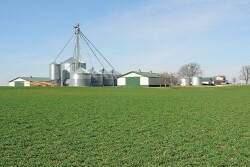 You’ve thought about who will run your farm in the future. You may have even identified the next leader. But have you shared those plans and dreams with your team? 