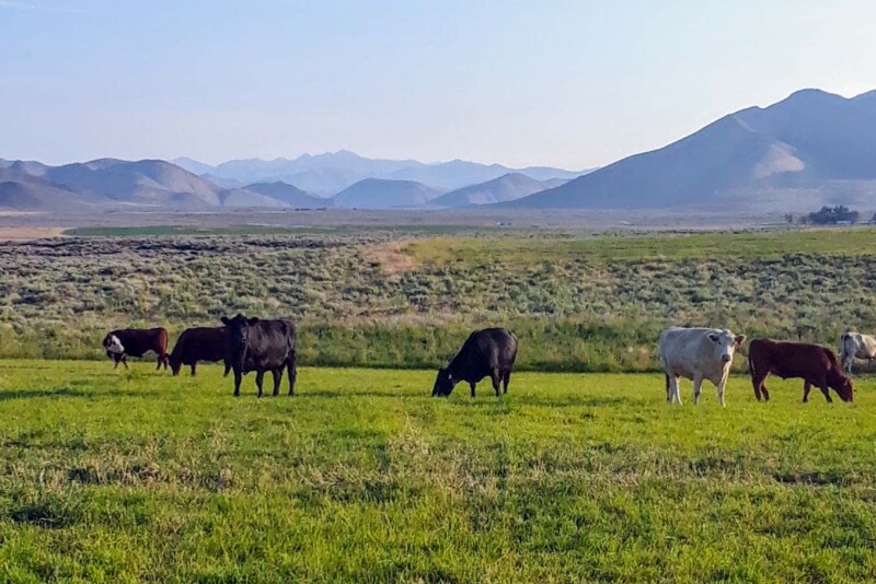 Huff Creek Ranch