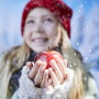 Envy holiday apple campaign