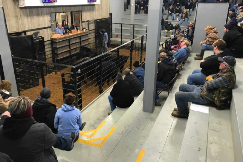 Drovers columnist Jared Wareham: Marketing flexibility represents a growing part of feedyards’ feeder cattle buying strategy. 