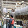 Dairy labor - milking