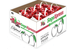 Sage Fruit Totes.png