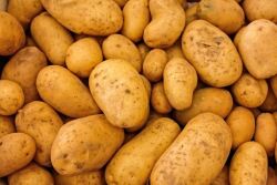 Washington potatoes have enjoyed a strong price year.