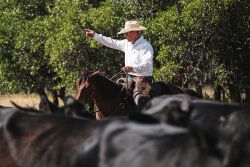 Brian Treadwell, Treadwell Cattle Co.