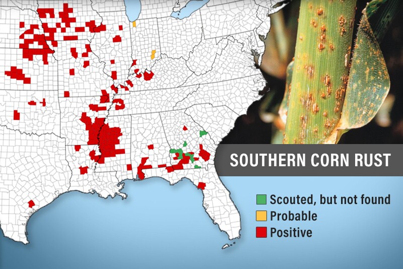Southern Rust: Coming to a Field Near You? - AgWeb