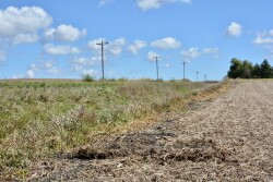 Pushy soybean platform