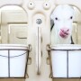 White Holstein Dairy Calf_Taylor Leach