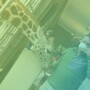 Kevin Moffitt, president and CEO of Pear Bureau Northwest, pictured here with a giraffe on his world travels, shares the opportunity the produce industry should take advantage of, his most memorable project and what new skill we should try.