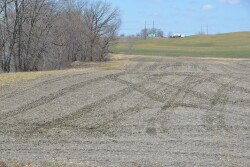 “Everybody looks at the money that could potentially pay out on a per acre basis. But, how much do you already have into that piece of ground? The assumption is you’ll make money with prevent plant. But nobody makes money with prevent plant.” 