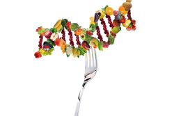 fork and produce dna