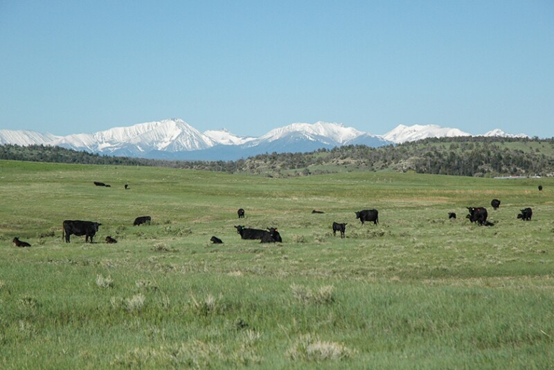 CAB_Montana-Ranch-22_840.jpg