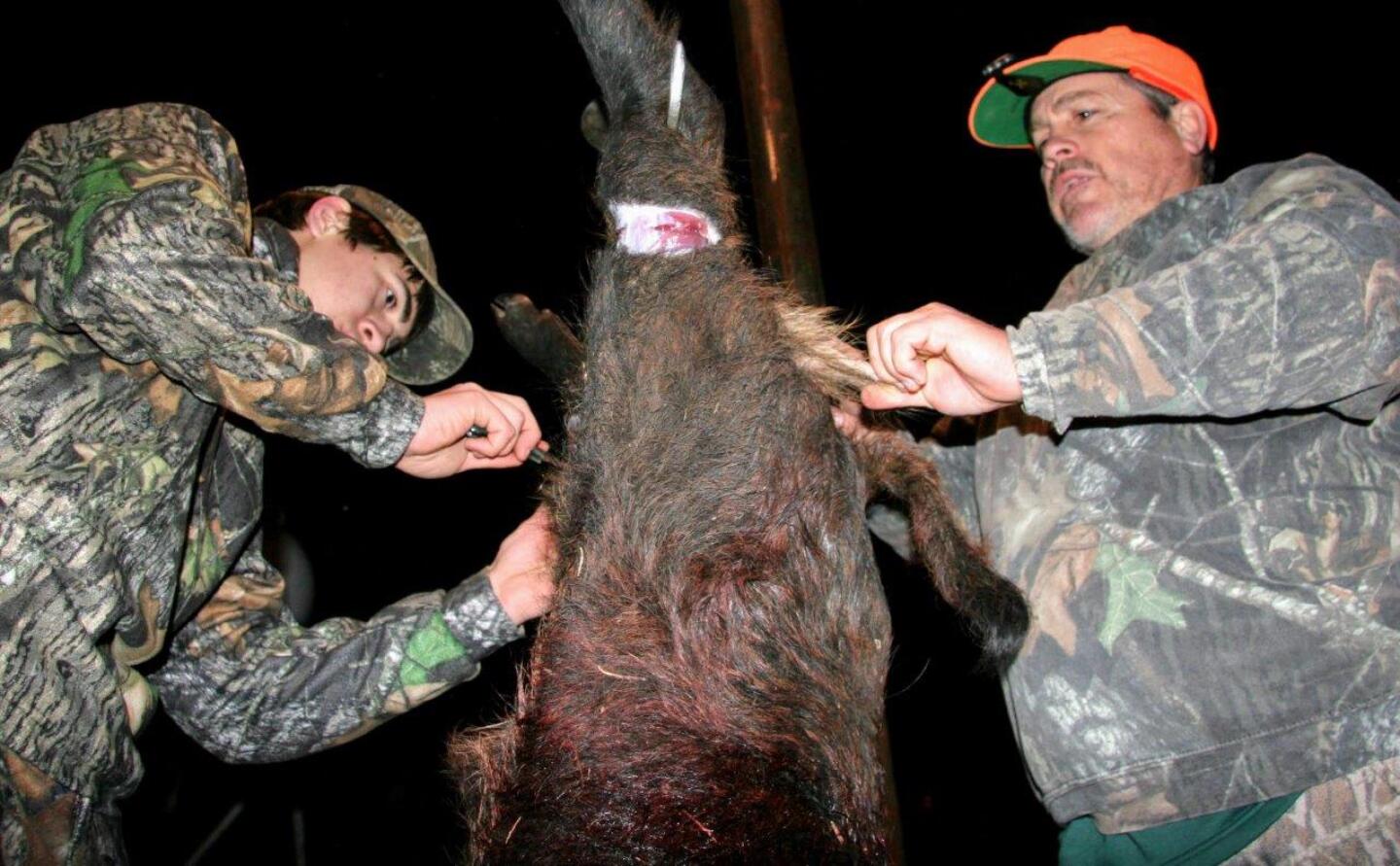 6%20WILD%20PIG%20DIET.JPG