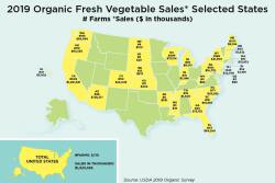 US map showing organic sales by state
