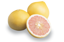 The USDA has proposed imports of pummelo citrus fruit from Thailand.