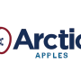 arctic logo