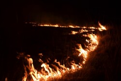 Pasture_Fire