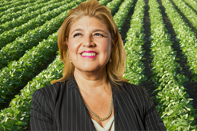 Anne Alonzo