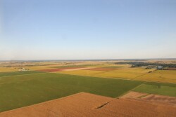 “So, the 3 million acres that the World Board has already taken off of the corn planting projection, the June Acreage report could put some of those acres back on because it will include the intentions,” Flory said.