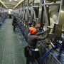 Train milkers to follow proper milking procedures.