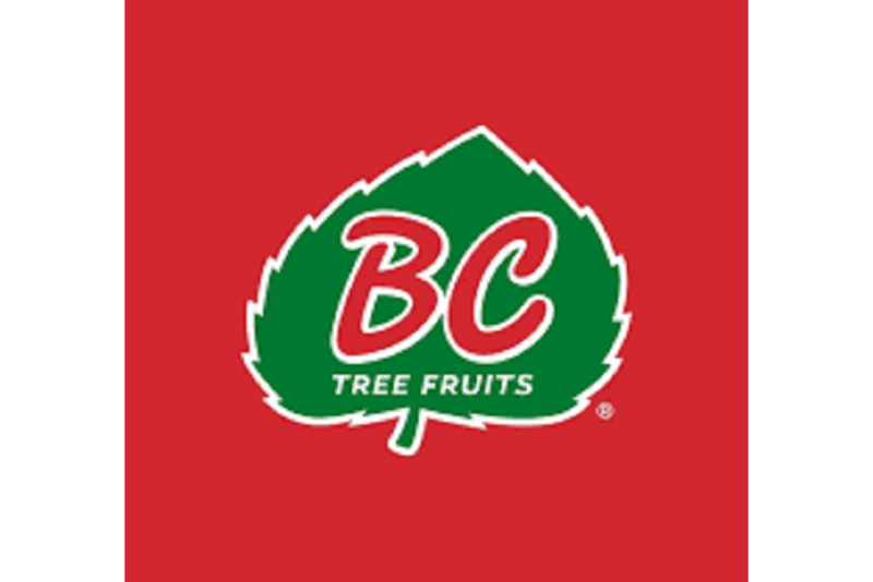 BC tree