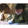 A video produced by TMD Creative for Del Rey Avocado focuses on the company's Fair Trade program, and features the Michoacan, Mexico, residents who grow and pack the fruit.