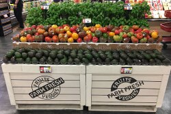 Photo submission for the Spring 2021 Produce Artist Awards Series. 
