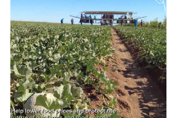 Western Growers