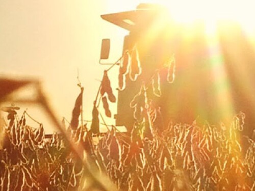 Rural Mainstreet Index's farmland index reaches new high
