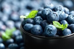 Hortifruit
